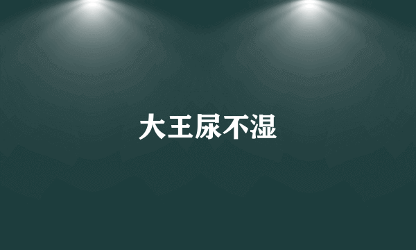 大王尿不湿