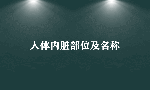 人体内脏部位及名称