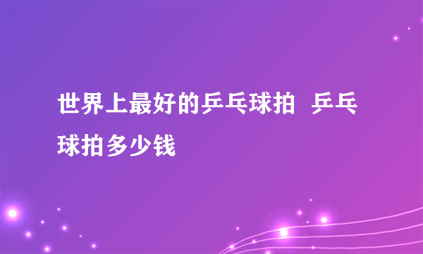 世界上最好的乒乓球拍  乒乓球拍多少钱