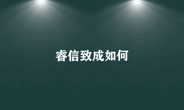 睿信致成如何