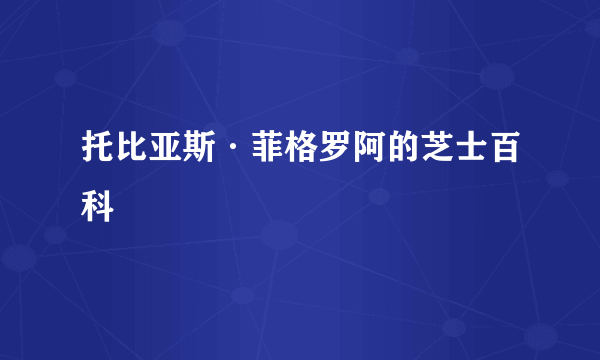 托比亚斯·菲格罗阿的芝士百科
