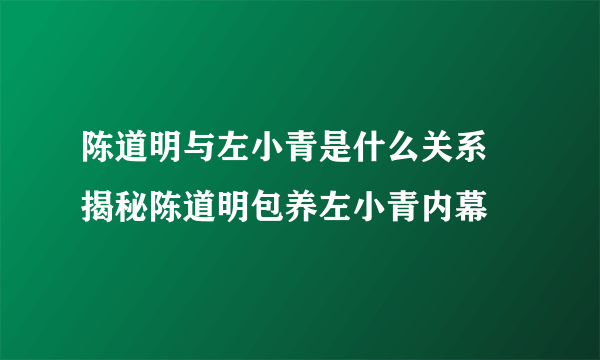 陈道明与左小青是什么关系 揭秘陈道明包养左小青内幕