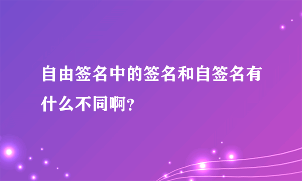 自由签名中的签名和自签名有什么不同啊？