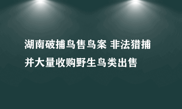 湖南破捕鸟售鸟案 非法猎捕并大量收购野生鸟类出售