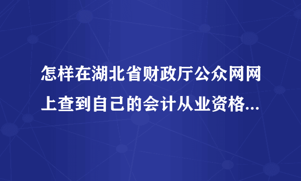 怎样在湖北省财政厅公众网网上查到自己的会计从业资格证号及相关信息