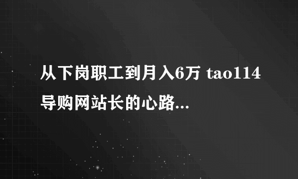 从下岗职工到月入6万 tao114导购网站长的心路历程 -电脑资料