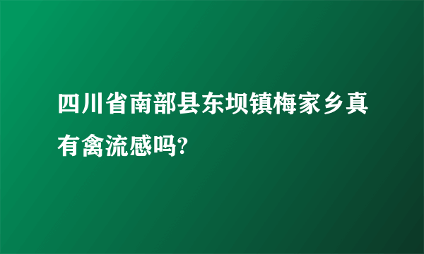 四川省南部县东坝镇梅家乡真有禽流感吗?