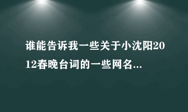 谁能告诉我一些关于小沈阳2012春晚台词的一些网名，好的话加分