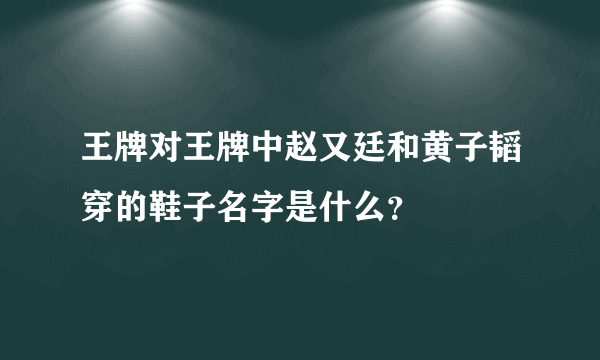 王牌对王牌中赵又廷和黄子韬穿的鞋子名字是什么？