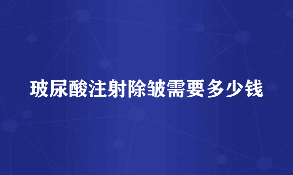 玻尿酸注射除皱需要多少钱