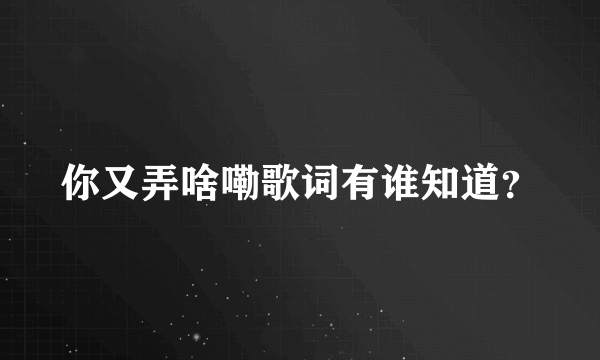 你又弄啥嘞歌词有谁知道？