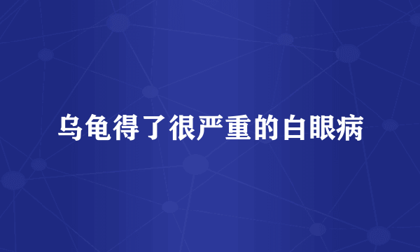 乌龟得了很严重的白眼病