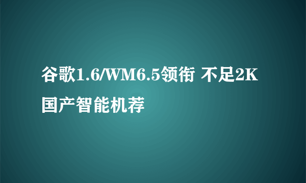 谷歌1.6/WM6.5领衔 不足2K国产智能机荐