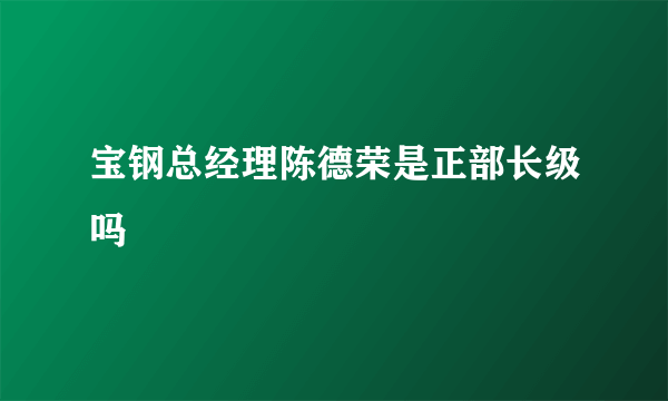 宝钢总经理陈德荣是正部长级吗