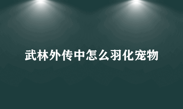 武林外传中怎么羽化宠物