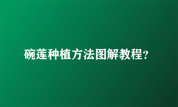 碗莲种植方法图解教程？