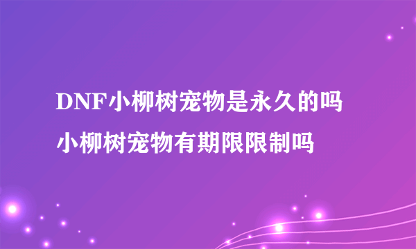 DNF小柳树宠物是永久的吗 小柳树宠物有期限限制吗