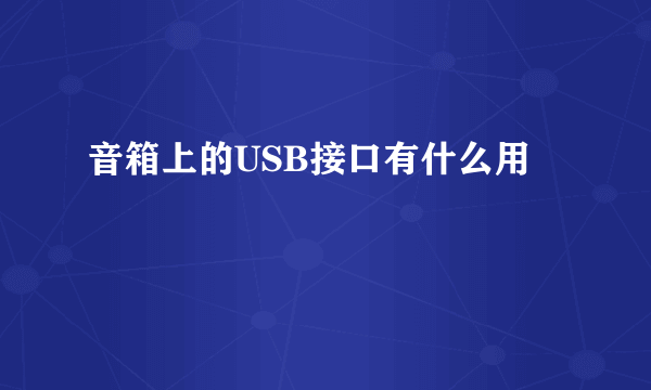 音箱上的USB接口有什么用