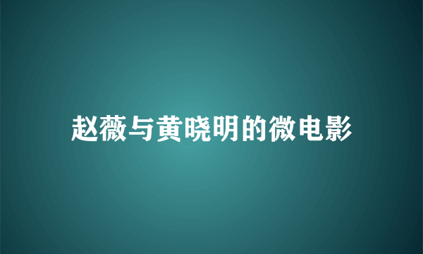 赵薇与黄晓明的微电影