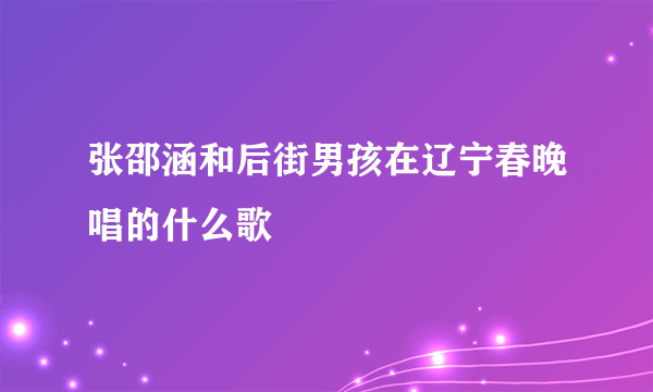 张邵涵和后街男孩在辽宁春晚唱的什么歌