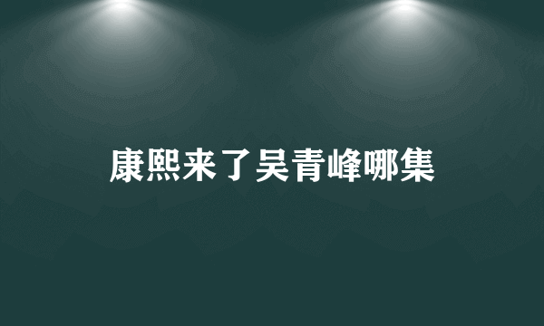 康熙来了吴青峰哪集