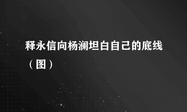 释永信向杨澜坦白自己的底线（图）