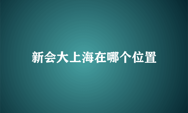 新会大上海在哪个位置