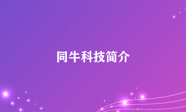 同牛科技简介