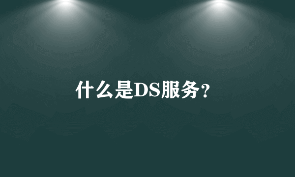 什么是DS服务？
