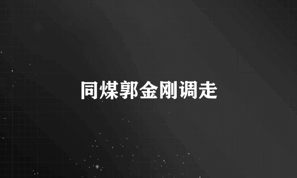 同煤郭金刚调走