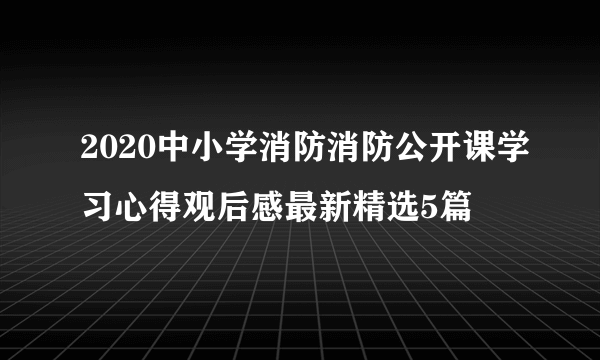 2020中小学消防消防公开课学习心得观后感最新精选5篇