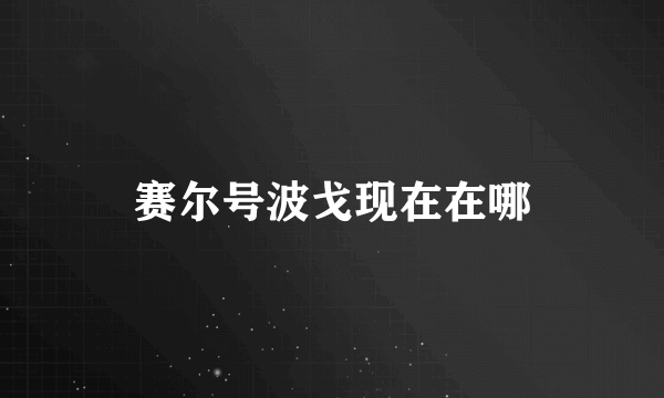 赛尔号波戈现在在哪