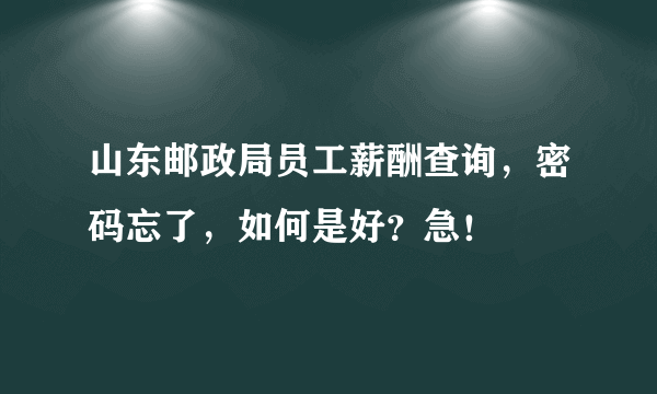 山东邮政局员工薪酬查询，密码忘了，如何是好？急！