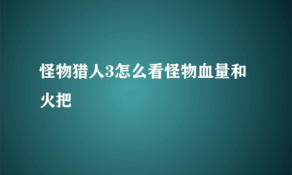 怪物猎人3怎么看怪物血量和火把