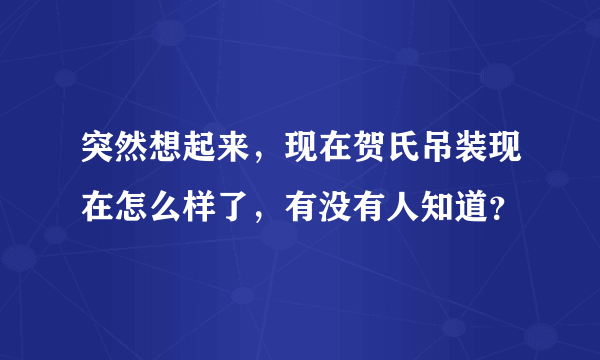 突然想起来，现在贺氏吊装现在怎么样了，有没有人知道？