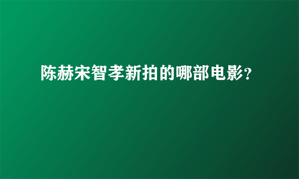 陈赫宋智孝新拍的哪部电影？