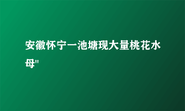 安徽怀宁一池塘现大量桃花水母