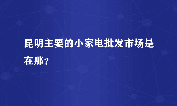 昆明主要的小家电批发市场是在那？