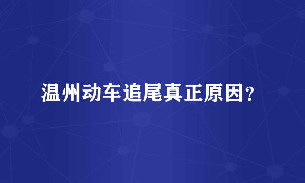 温州动车追尾真正原因？