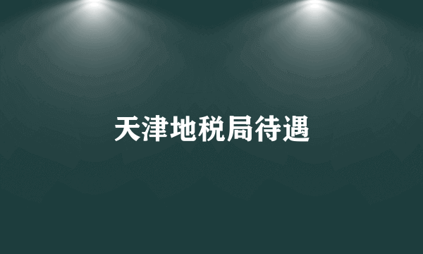 天津地税局待遇