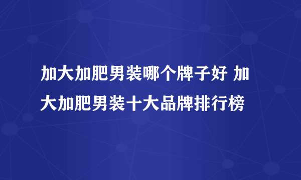 加大加肥男装哪个牌子好 加大加肥男装十大品牌排行榜