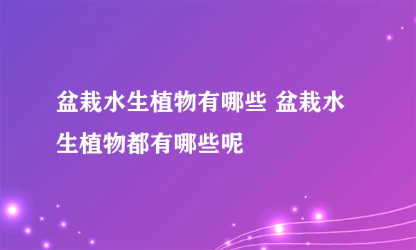 盆栽水生植物有哪些 盆栽水生植物都有哪些呢