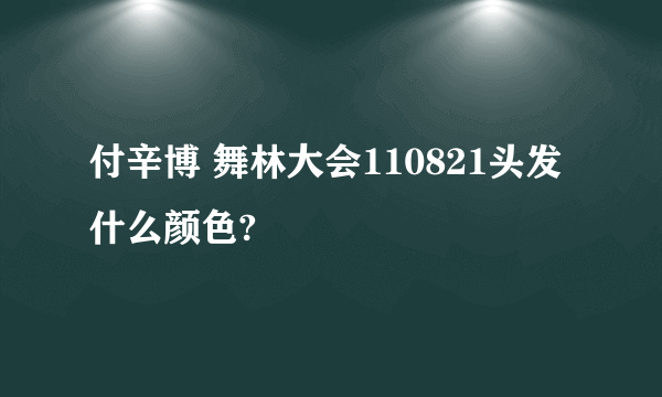付辛博 舞林大会110821头发什么颜色?