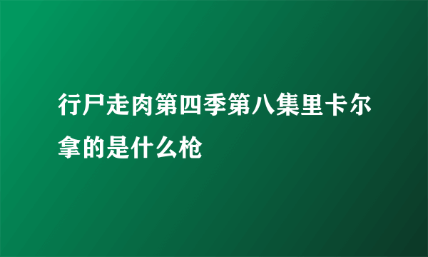 行尸走肉第四季第八集里卡尔拿的是什么枪
