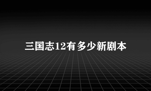 三国志12有多少新剧本