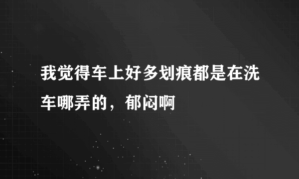 我觉得车上好多划痕都是在洗车哪弄的，郁闷啊
