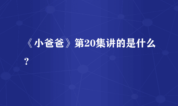 《小爸爸》第20集讲的是什么？