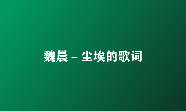 魏晨－尘埃的歌词