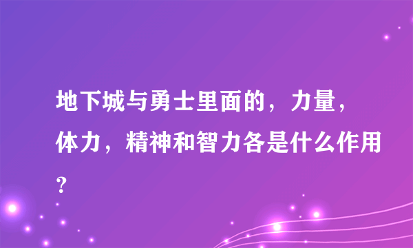 地下城与勇士里面的，力量，体力，精神和智力各是什么作用？