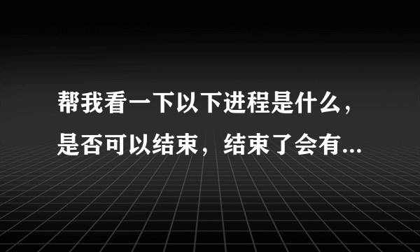 帮我看一下以下进程是什么，是否可以结束，结束了会有什么后果！